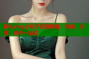 糖心vlog小包子百度网盘：存储、分享、协作一站式