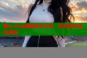 糖心vlog破解版无付费，轻松制作精彩视频
