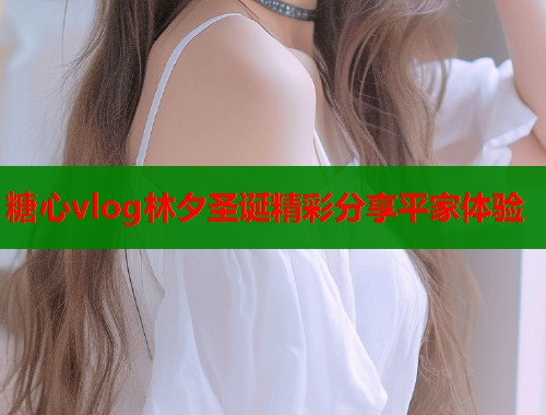 糖心vlog林夕圣诞精彩分享平家体验  第1张